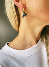 Load image into Gallery viewer, Auskari ar Terahercu